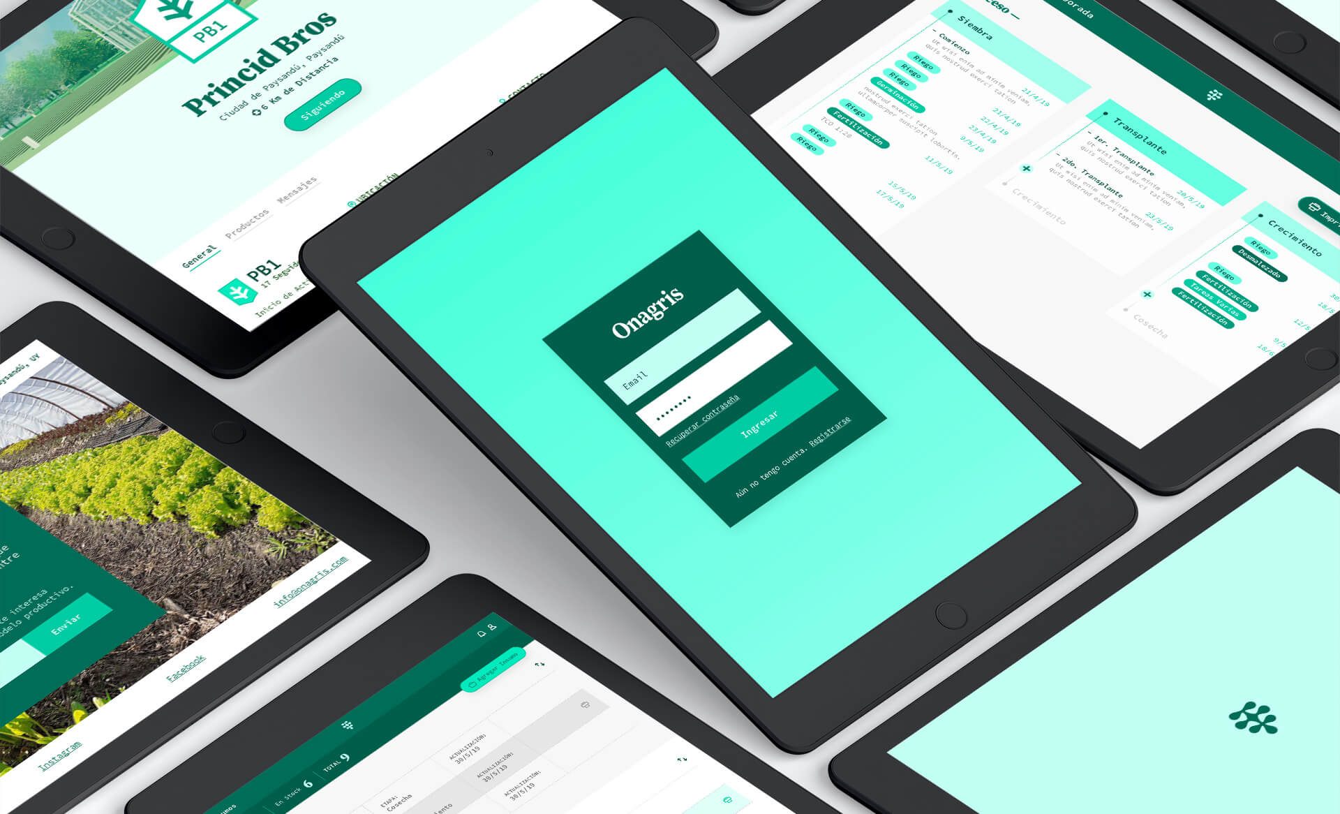 オナグリス user interface screens ipad mockup